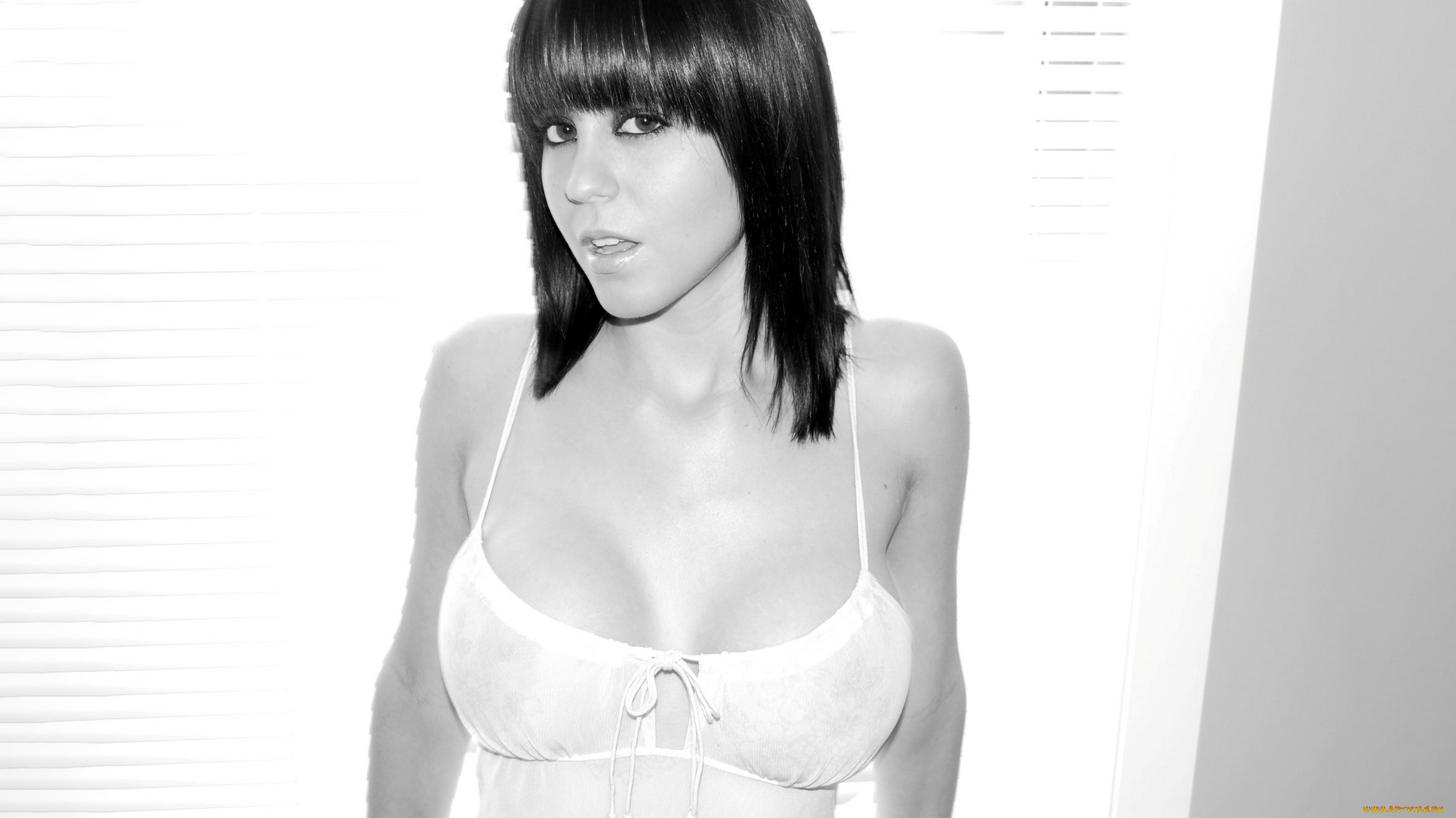 , bryci lea, bryci, lea